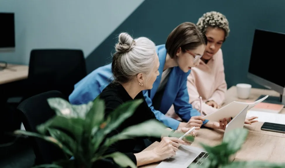 Consultants reviewing documents at a desk